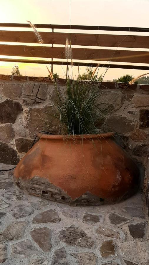 Savvas Brian Mountain House In Paphos Villa Pendaliá Kültér fotó