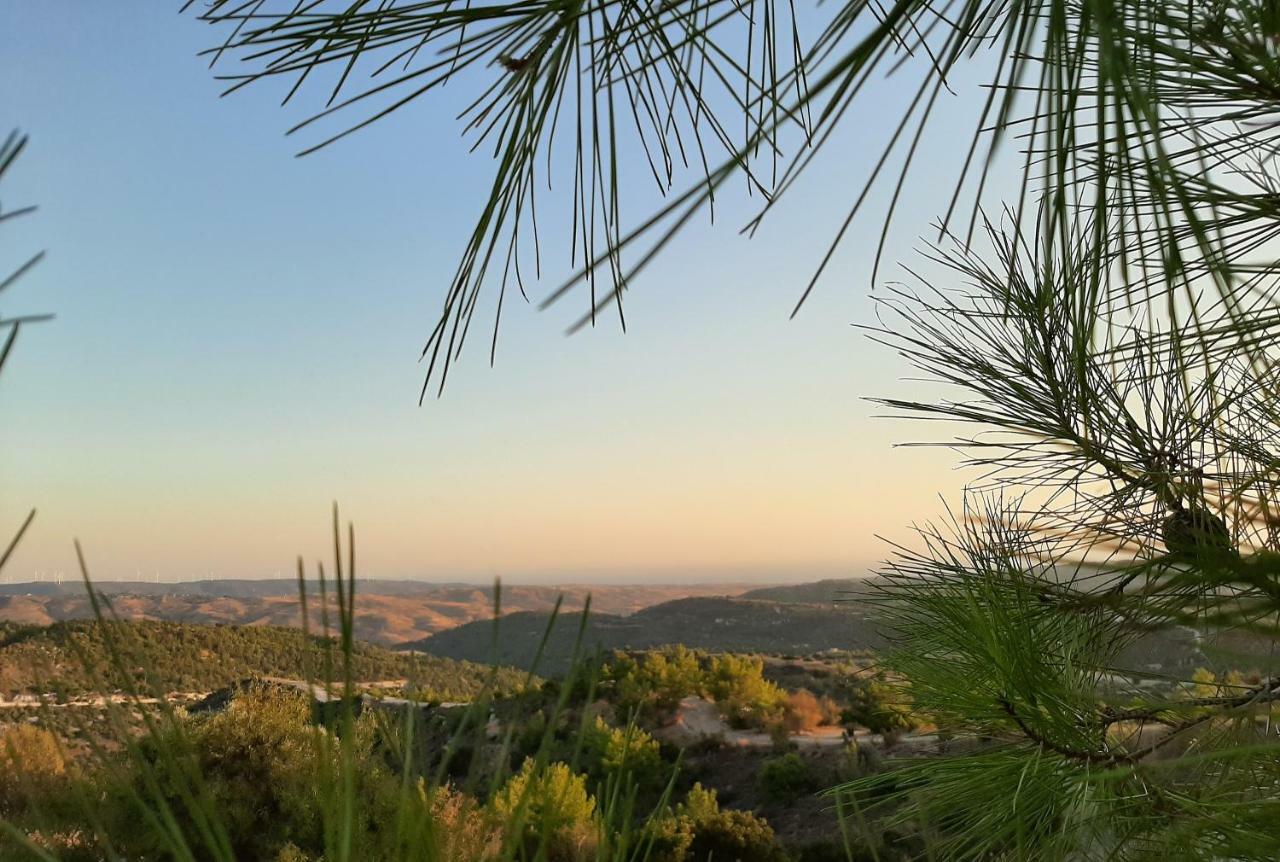Savvas Brian Mountain House In Paphos Villa Pendaliá Kültér fotó